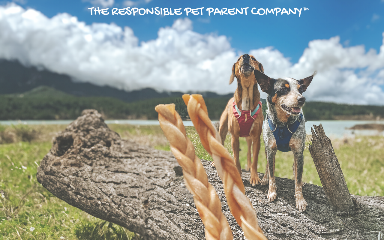 Torito Brands Pet Products